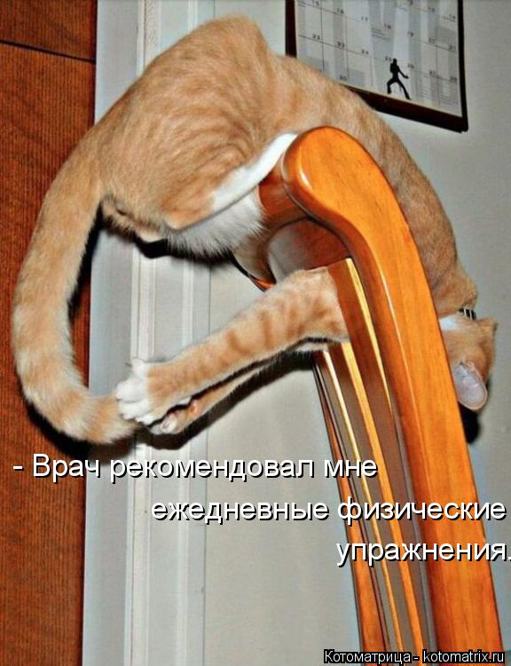 - Врач рекомендовал мне ежедневные физические упражнения. упражнения.... Котоматрица: - Врач рекомендовал мне ежедневные физические упражнения. упражнения.