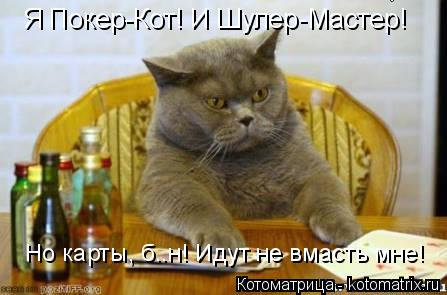 Я Покер-Кот! И Шулер-Мастер! Но карты, б..н! Идут не вмасть мне!... Котоматрица: Я Покер-Кот! И Шулер-Мастер! Но карты, б..н! Идут не вмасть мне!