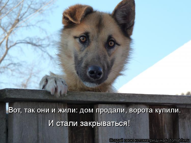 Вот, так они и жили: дом продали, ворота купили. И стали закрываться!... Котоматрица: Вот, так они и жили: дом продали, ворота купили. И стали закрываться!