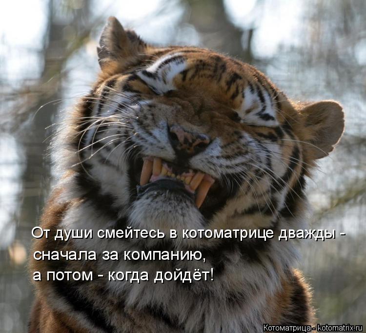 От души смейтесь в котоматрице дважды - сначала за компанию, а потом - когда дойдёт!... Котоматрица: От души смейтесь в котоматрице дважды - сначала за компанию, а потом - когда дойдёт!