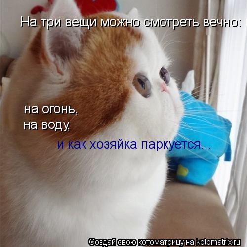На три вещи можно смотреть вечно: на огонь, на воду, и как дама паркуется... на огонь, на воду, и ... Котоматрица: На три вещи можно смотреть вечно: на огонь, на воду, и как дама паркуется... на огонь, на воду, и как хозяйка паркуется...