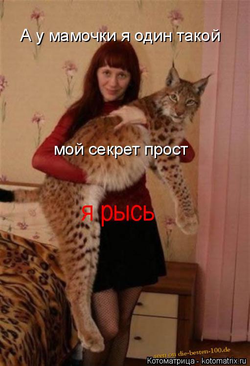А у мамочки я один такой мой секрет прост я рысь... Котоматрица: А у мамочки я один такой мой секрет прост я рысь
