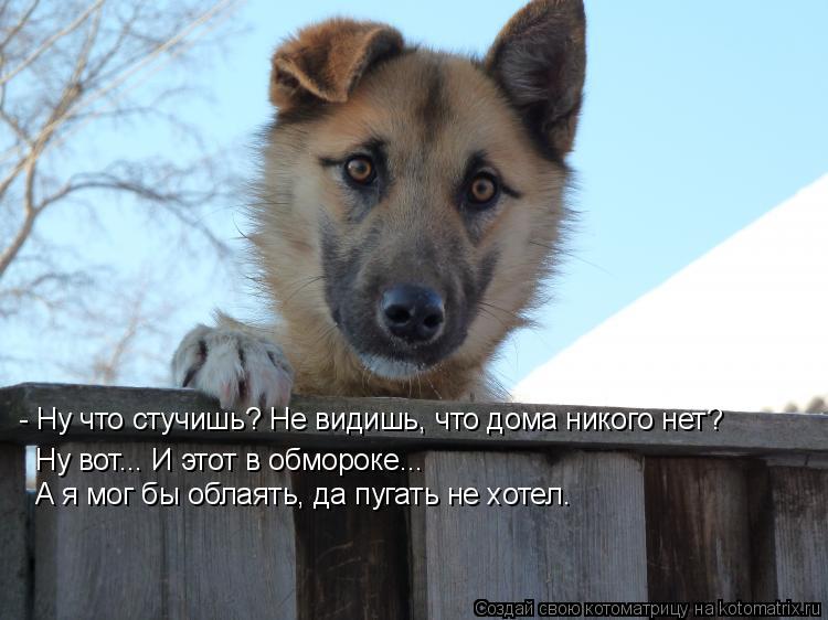 - Ну что стучишь? Не видишь, что дома никого нет? Ну вот... И этот в обмороке... А я мог бы облаять, ... Котоматрица: - Ну что стучишь? Не видишь, что дома никого нет? Ну вот... И этот в обмороке... А я мог бы облаять, да пугать не хотел.