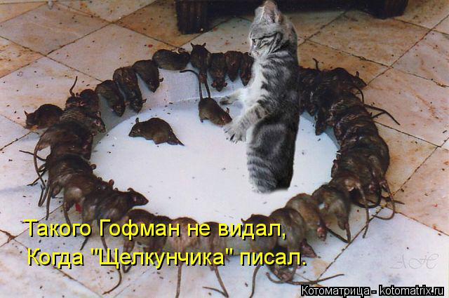 Такого Гофман не видал, Когда "Щелкунчика" писал.... Котоматрица: Такого Гофман не видал, Когда "Щелкунчика" писал.