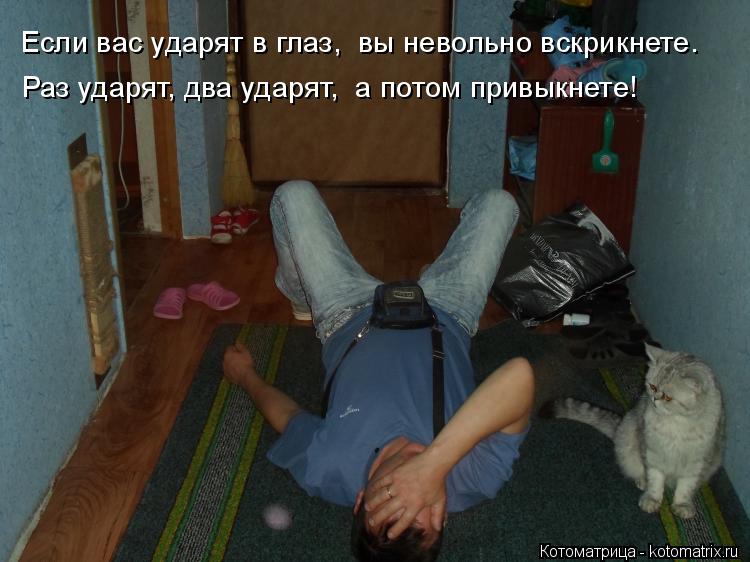 Если вас ударят в глаз, вы невольно вскрикнете. Раз ударят, два ударят, а потом привыкнете!... Котоматрица: Если вас ударят в глаз, вы невольно вскрикнете. Раз ударят, два ударят, а потом привыкнете!