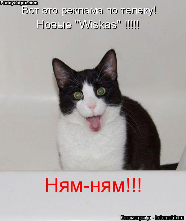 Вот это реклама по телеку! Новые "Wiskas" !!!!! Ням-ням!!!... Котоматрица: Вот это реклама по телеку! Новые "Wiskas" !!!!! Ням-ням!!!