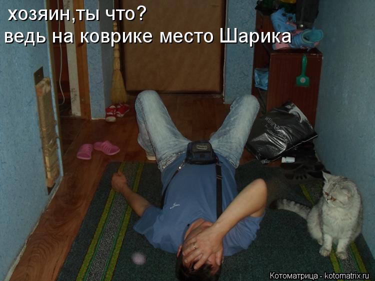 хозяин,ты что? ведь на коврике место Шарика... Котоматрица: хозяин,ты что? ведь на коврике место Шарика