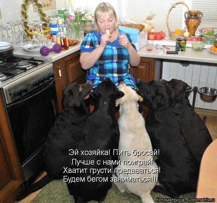 Эй хозяйка! Пить бросай! Лучше с нами поиграй! Хватит грусти предаваться! Будем бегом заниматься!!!... Котоматрица: Эй хозяйка! Пить бросай! Лучше с нами поиграй! Хватит грусти предаваться! Будем бегом заниматься!!!