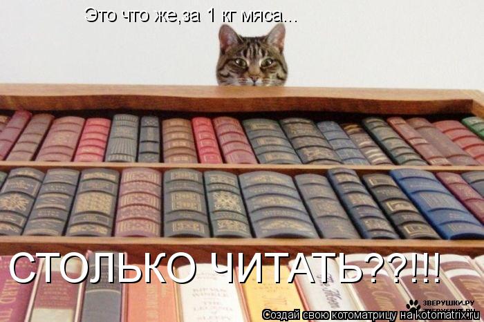 Это что же,за 1 кг мяса... СТОЛЬКО ЧИТАТЬ??!!!... Котоматрица: Это что же,за 1 кг мяса... СТОЛЬКО ЧИТАТЬ??!!!