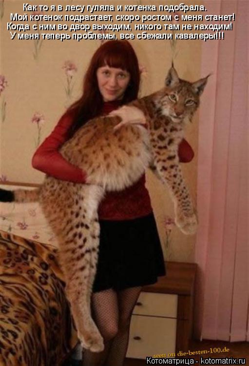 Мой котенок подрастает, скоро ростом с меня станет! Когда с ним во двор выходим, никого там не находи... Котоматрица: Мой котенок подрастает, скоро ростом с меня станет! Когда с ним во двор выходим, никого там не находим! У меня теперь проблемы, все сбежали ка