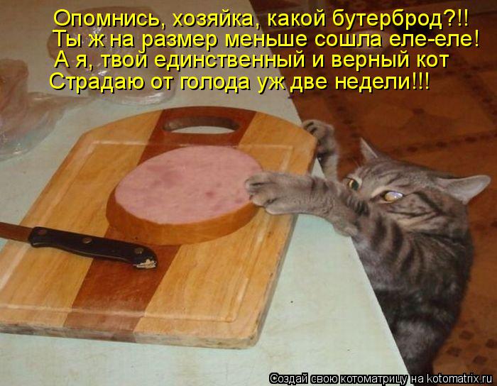 Котоматрица: Опомнись, хозяйка, какой бутерброд?!! Ты ж на размер меньше сошла еле-еле! А я, твой единственный и верный кот Страдаю от голода уж две недели!!