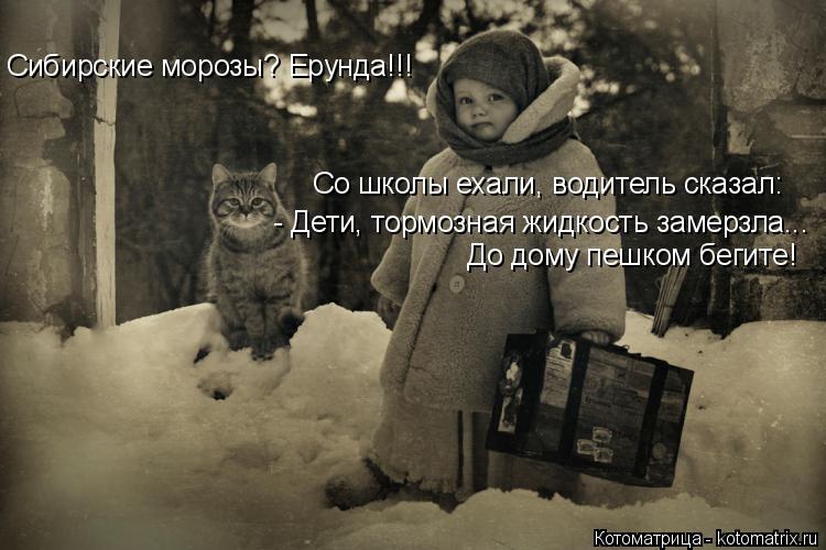 Сибирские морозы? Ерунда!!! Со школы ехали, водитель сказал: - Дети, тормозная жидкость замерзла... ... Котоматрица: Сибирские морозы? Ерунда!!! Со школы ехали, водитель сказал: - Дети, тормозная жидкость замерзла... До дому пешком бегите!