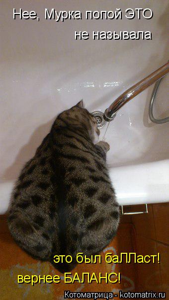 Нее, Мурка попой ЭТО не называла это был баЛЛаст! вернее БАЛАНС!... Котоматрица: Нее, Мурка попой ЭТО не называла это был баЛЛаст! вернее БАЛАНС!