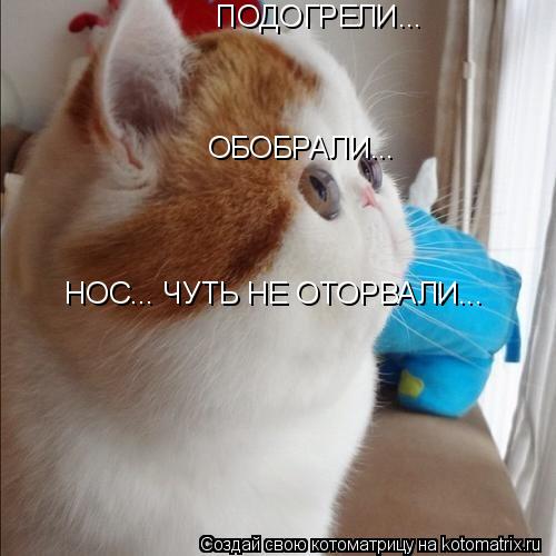 ПОДОГРЕЛИ... ОБОБРАЛИ... НОС... ЧУТЬ НЕ ОТОРВАЛИ...... Котоматрица: ПОДОГРЕЛИ... ОБОБРАЛИ... НОС... ЧУТЬ НЕ ОТОРВАЛИ...