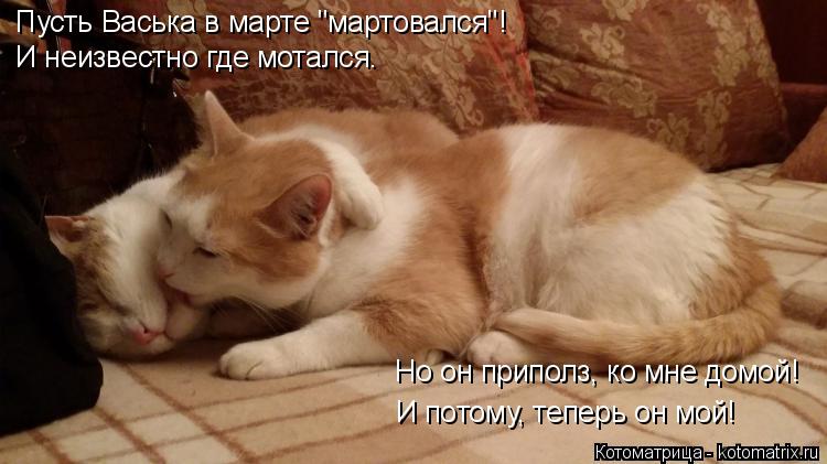 Пусть Васька в марте "мартовался"! И неизвестно где мотался. Но он приполз, ко мне домой! И потому, т... Котоматрица: Пусть Васька в марте "мартовался"! И неизвестно где мотался. Но он приполз, ко мне домой! И потому, теперь он мой!