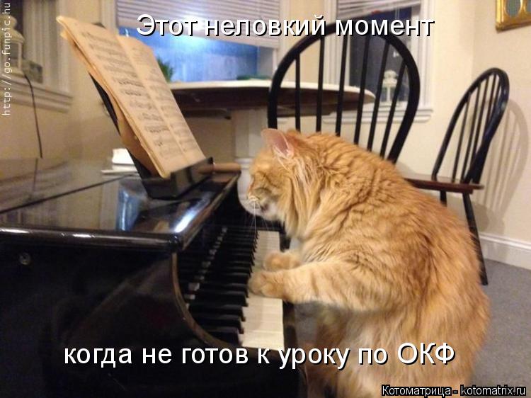 Этот неловкий момент когда не готов к уроку по ОКФ... Котоматрица: Этот неловкий момент когда не готов к уроку по ОКФ
