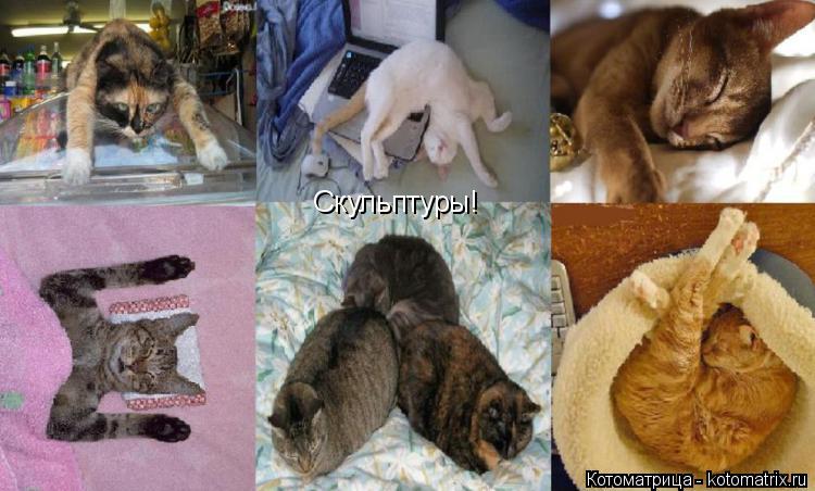 Скульптуры!... Котоматрица: Скульптуры!