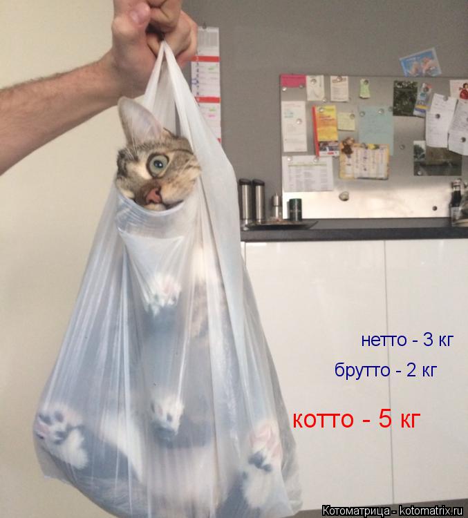 нетто - 3 кг нетто - 3 кг брутто - 2 кг котто - 5 кг... Котоматрица: нетто - 3 кг нетто - 3 кг брутто - 2 кг котто - 5 кг