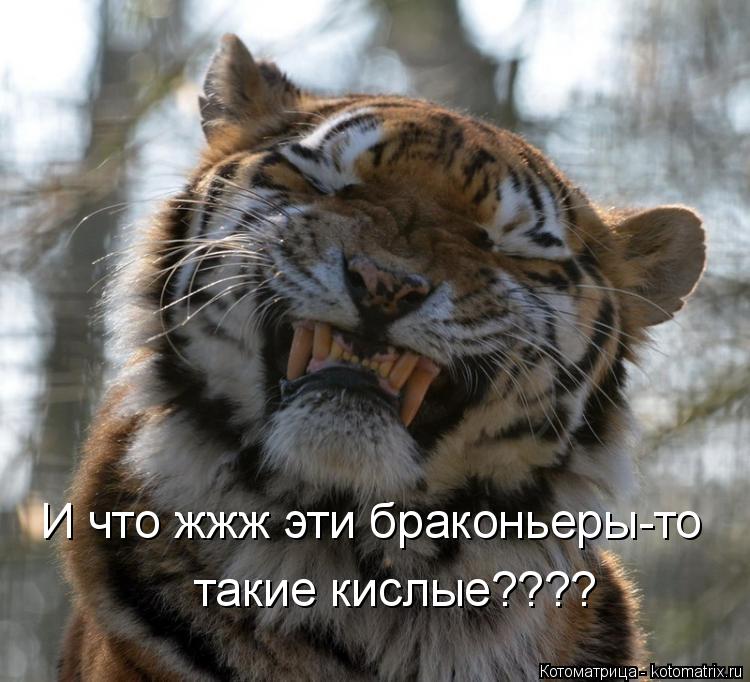 И что жжж эти браконьеры-то такие кислые????... Котоматрица: И что жжж эти браконьеры-то такие кислые????