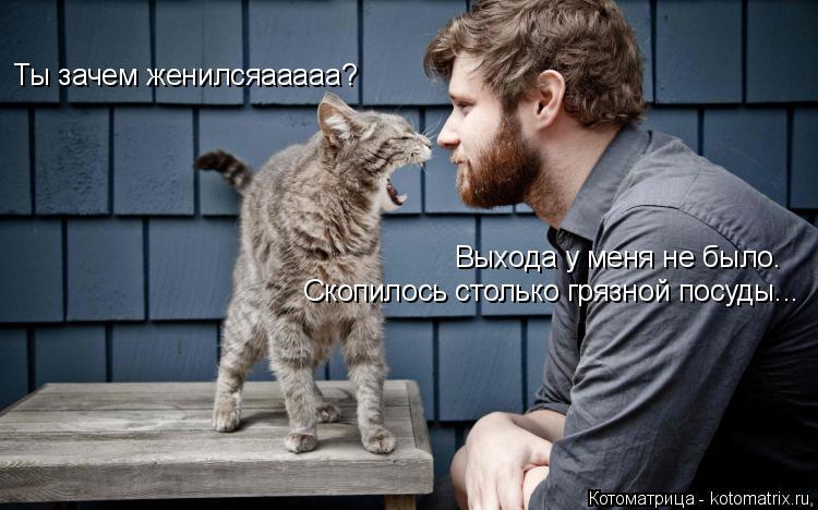 Ты зачем женилсяааааа? Выхода у меня не было. Скопилось столько грязной посуды...... Котоматрица: Ты зачем женилсяааааа? Выхода у меня не было. Скопилось столько грязной посуды...