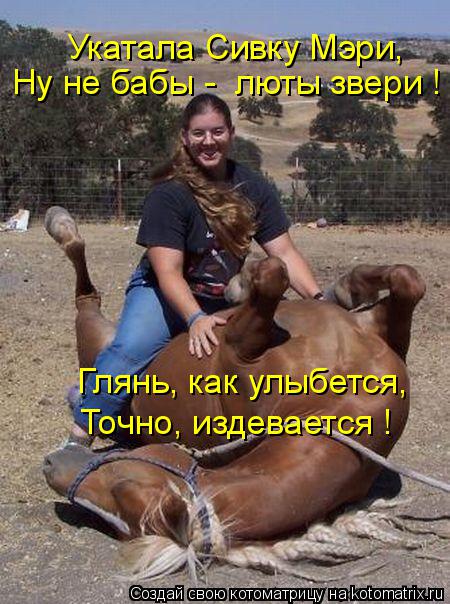 Укатала Сивку Мэри, Ну не бабы - люты звери ! Глянь, как улыбется, Точно, издевается !... Котоматрица: Укатала Сивку Мэри, Ну не бабы - люты звери ! Глянь, как улыбется, Точно, издевается !