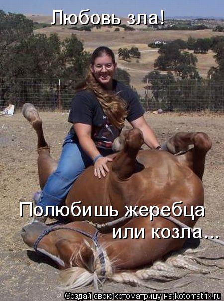 Любовь зла! Полюбишь жеребца или козла...... Котоматрица: Любовь зла! Полюбишь жеребца или козла...