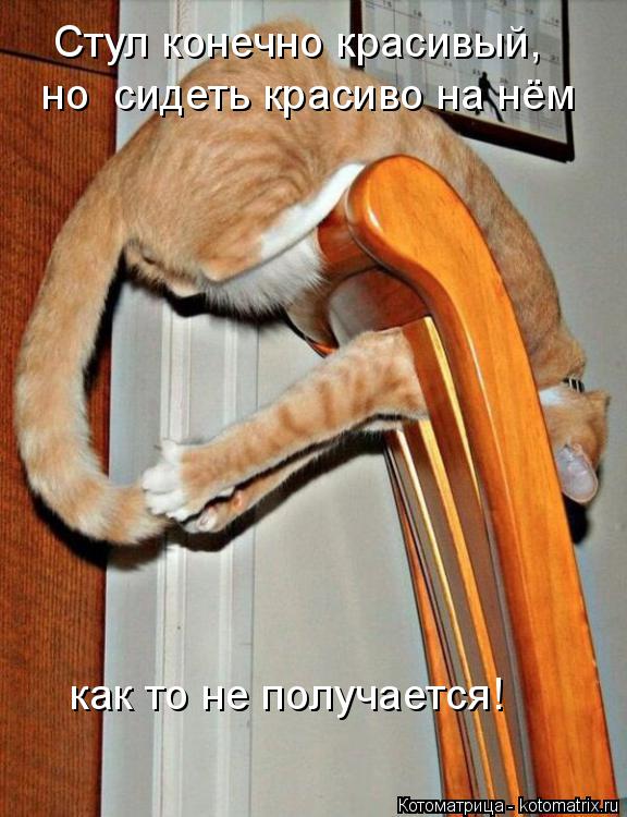 Стул конечно красивый, но сидеть красиво на нём как то не получается!... Котоматрица: Стул конечно красивый, но сидеть красиво на нём как то не получается!