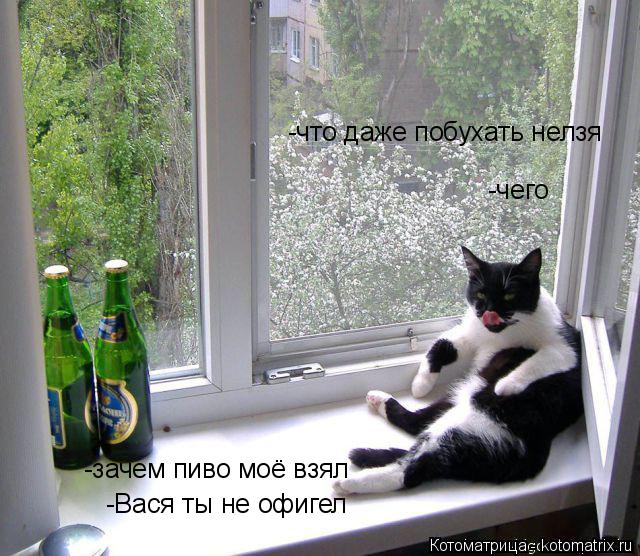 -Вася ты не офигел -чего -зачем пиво моё взял -что даже побухать нелзя... Котоматрица: -Вася ты не офигел -чего -зачем пиво моё взял -что даже побухать нелзя
