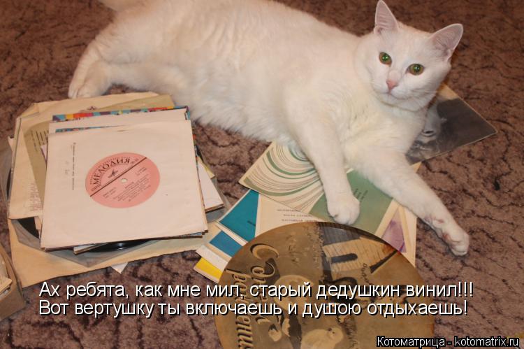 Ах ребята, как мне мил, старый дедушкин винил!!! Вот вертушку ты включаешь и душою отдыхаешь!... Котоматрица: Ах ребята, как мне мил, старый дедушкин винил!!! Вот вертушку ты включаешь и душою отдыхаешь!