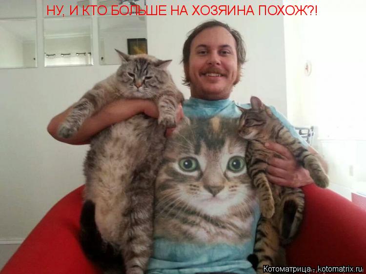НУ, И КТО БОЛЬШЕ НА ХОЗЯИНА ПОХОЖ?!... Котоматрица: НУ, И КТО БОЛЬШЕ НА ХОЗЯИНА ПОХОЖ?!