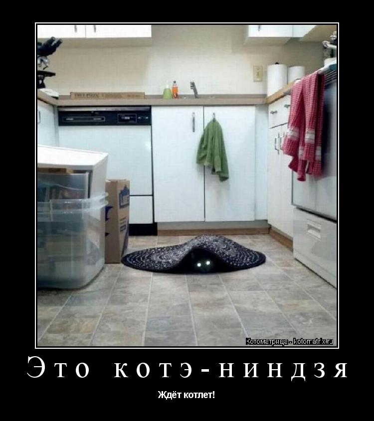 Это котэ-ниндзя Ждёт котлет!... Котоматрица: Это котэ-ниндзя Ждёт котлет!