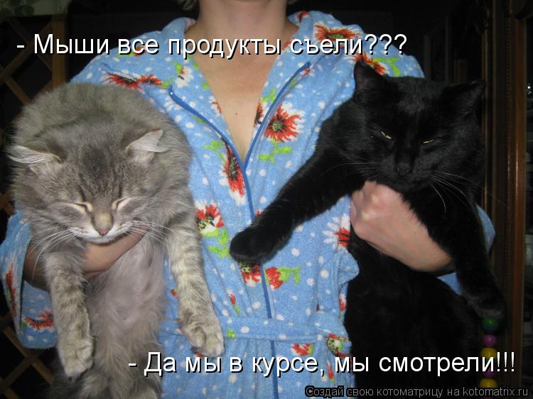Котоматрица: - Мыши все продукты съели??? - Да мы в курсе, мы смотрели!!!