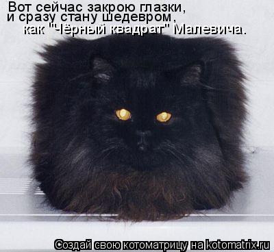 Вот сейчас закрою глазки, и сразу стану шедевром, как "Чёрный квадрат" Малевича.... Котоматрица: Вот сейчас закрою глазки, и сразу стану шедевром, как "Чёрный квадрат" Малевича.