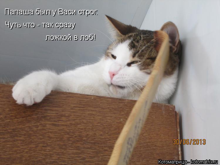 Папаша был у Васи строг. Чуть что - так сразу ложкой в лоб!... Котоматрица: Папаша был у Васи строг. Чуть что - так сразу ложкой в лоб!