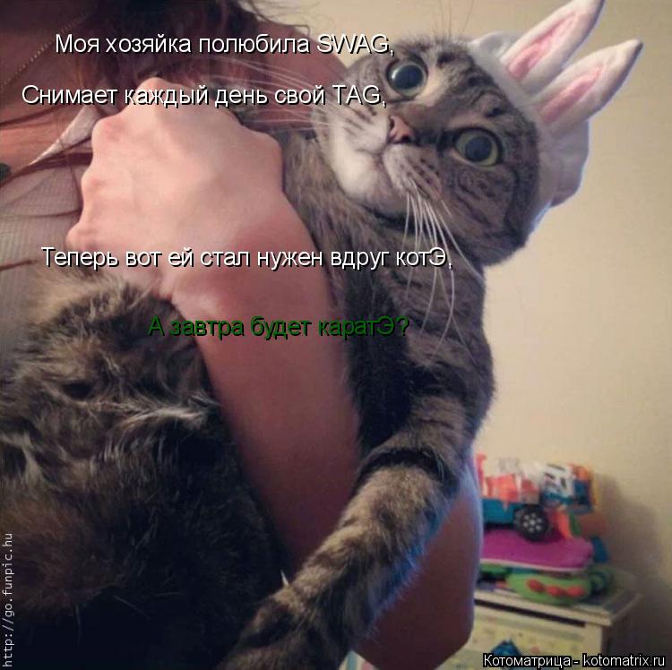 Котоматрица: Моя хозяйка полюбила SWAG, Снимает каждый день свой ТAG, Теперь вот ей стал нужен вдруг котЭ, А завтра будет каратЭ?