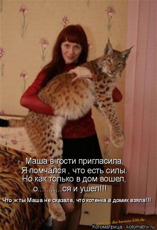 Маша в гости пригласила. Я помчался , что есть силы. Но как только в дом вошел, о...........ся и ушел... Котоматрица: Маша в гости пригласила. Я помчался , что есть силы. Но как только в дом вошел, о...........ся и ушел!!! Что ж ты Маша не сказала, что котенка в домик