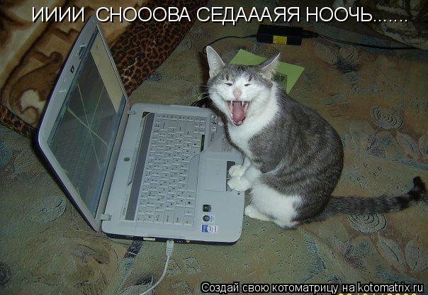 ИИИИ СНОООВА СЕДАААЯЯ НООЧЬ.......... Котоматрица: ИИИИ СНОООВА СЕДАААЯЯ НООЧЬ.......