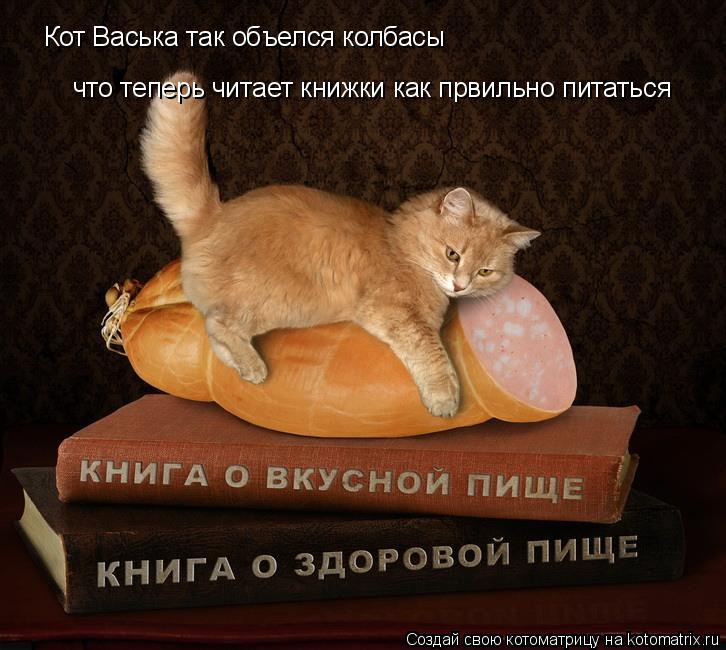 Кот Васька так объелся колбасы что теперь читает книжки как првильно питаться... Котоматрица: Кот Васька так объелся колбасы что теперь читает книжки как првильно питаться