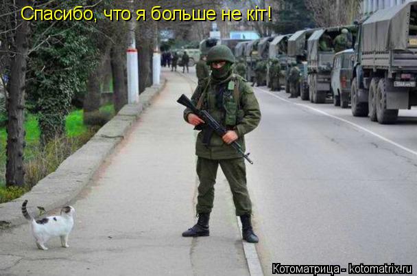 Спасибо, что я больше не кiт!... Котоматрица: Спасибо, что я больше не кiт!