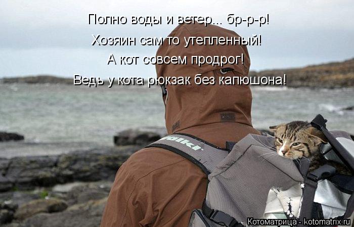 Полно воды и ветер... бр-р-р! Хозяин сам то утепленный! Ведь у кота рюкзак без капюшона! А кот совсем... Котоматрица: Полно воды и ветер... бр-р-р! Хозяин сам то утепленный! Ведь у кота рюкзак без капюшона! А кот совсем продрог!