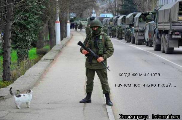 когда же мы снова . начнем постить котиков?....... Котоматрица: когда же мы снова . начнем постить котиков?....