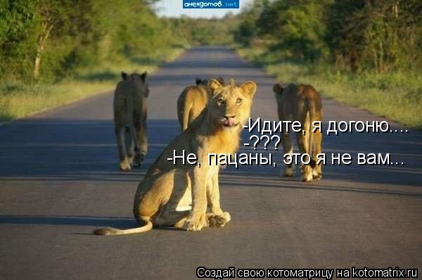 Котоматрица: -Идите, я догоню.... -??? -Не, пацаны, это я не вам...
