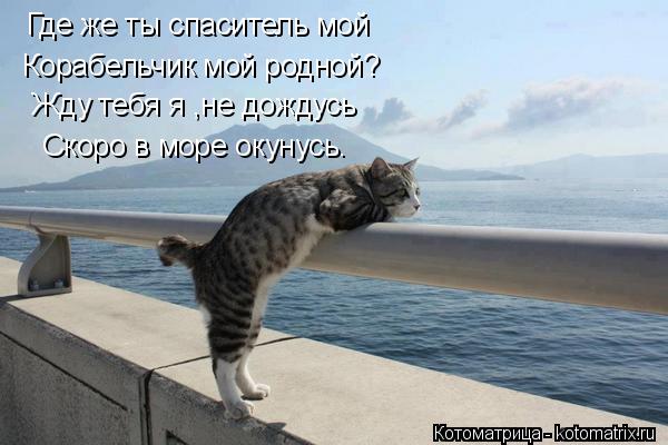 Котоматрица: Где же ты спаситель мой Корабельчик мой родной? Жду тебя я ,не дождусь Скоро в море окунусь.