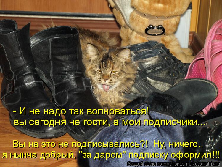 - И не надо так волноваться! вы сегодня не гости, а мои подписчики... Вы на это не подписывались?! Н... Котоматрица: - И не надо так волноваться! вы сегодня не гости, а мои подписчики... Вы на это не подписывались?! Ну, ничего.. я нынча добрый, "за даром" подписк