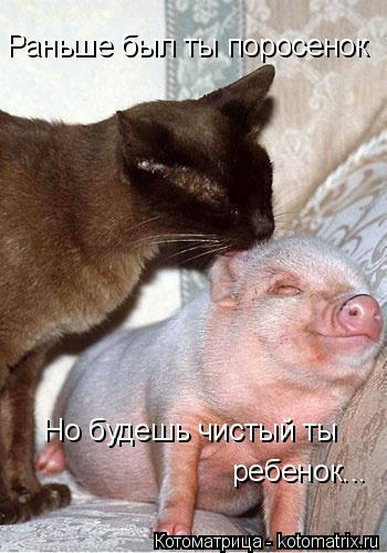 Раньше был ты поросенок Но будешь чистый ты ребенок...... Котоматрица: Раньше был ты поросенок Но будешь чистый ты ребенок...
