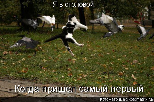 Котоматрица: Я в столовой Когда пришел самый первый