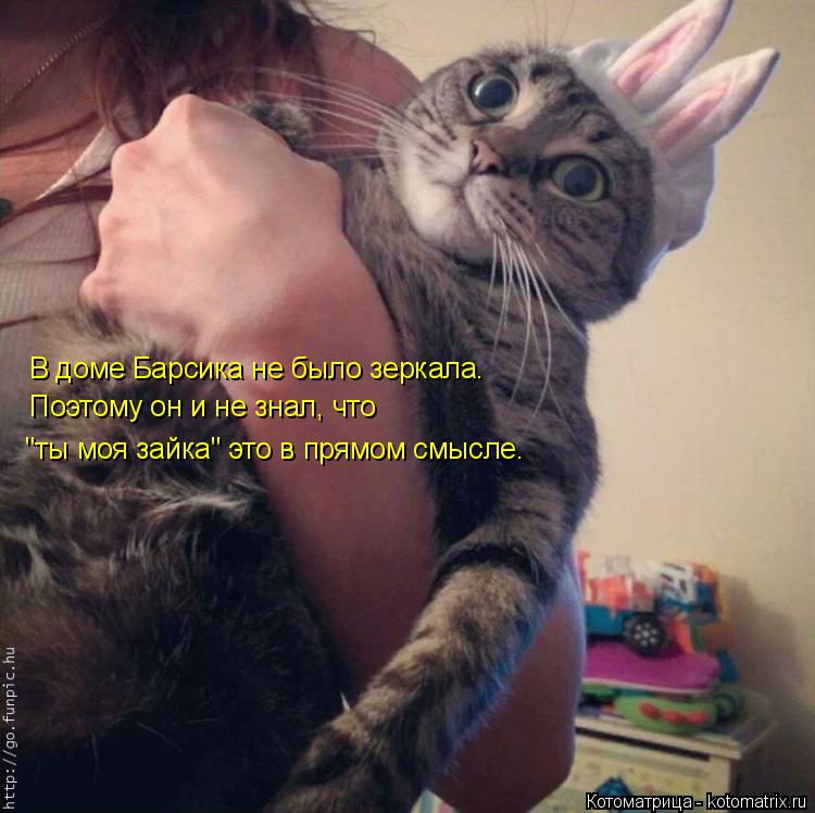 Котоматрица: "ты моя зайка" это в прямом смысле. Поэтому он и не знал, что В доме Барсика не было зеркала.