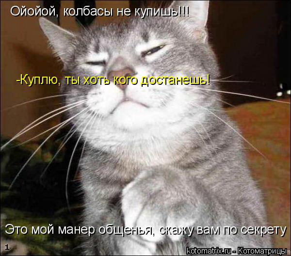 Ойойой, колбасы не купишь!!! -Куплю, ты хоть кого достанешь! Это мой манер общенья, скажу вам по секр... Котоматрица: Ойойой, колбасы не купишь!!! -Куплю, ты хоть кого достанешь! Это мой манер общенья, скажу вам по секрету