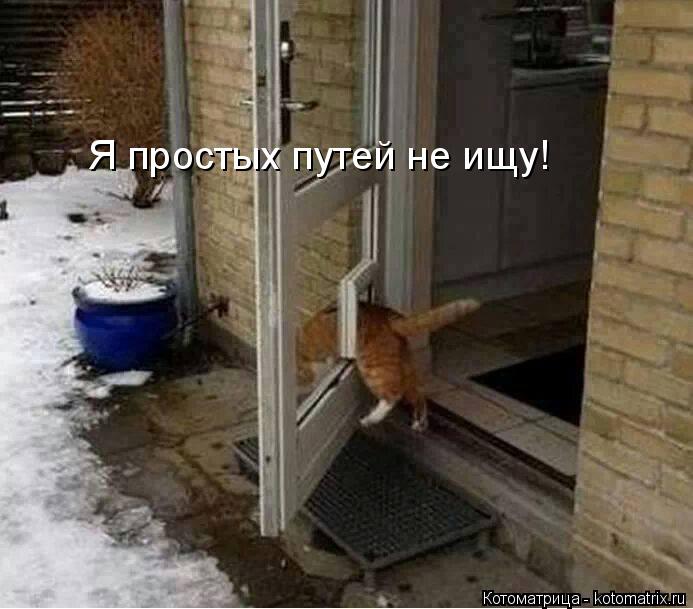 Я простых путей не ищу!... Котоматрица: Я простых путей не ищу!