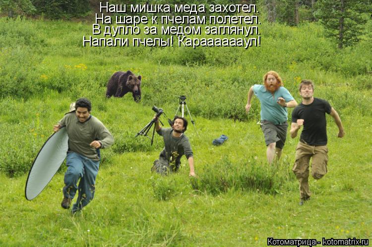 Наш мишка меда захотел. На шаре к пчелам полетел. В дупло за медом заглянул. Напали пчелы! Караааааау... Котоматрица: Наш мишка меда захотел. На шаре к пчелам полетел. В дупло за медом заглянул. Напали пчелы! Карааааааул!